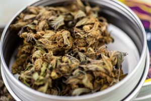 marijuana